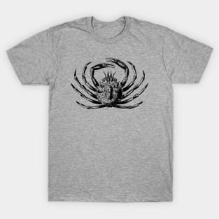 Holy crab! T-Shirt